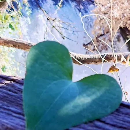 Visovac לינה וארוחת בוקר 3*