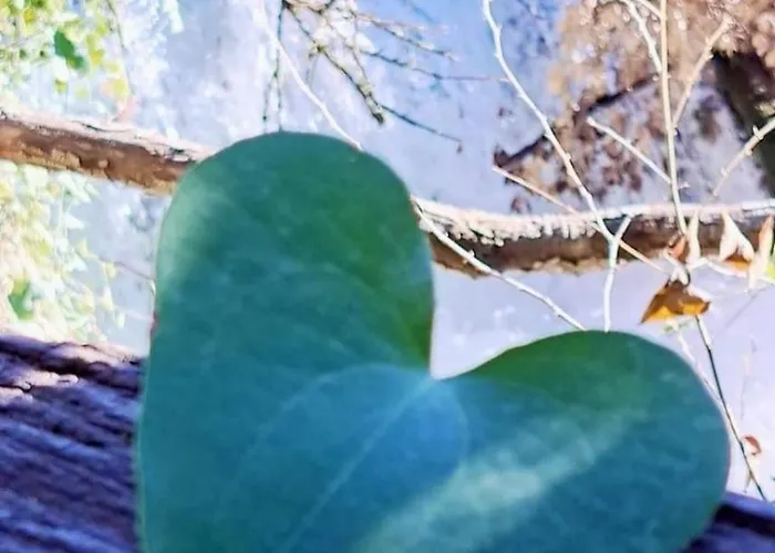 Visovac Bed and Breakfast 3*